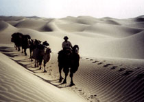 喀什塔克拉玛干大沙漠天气