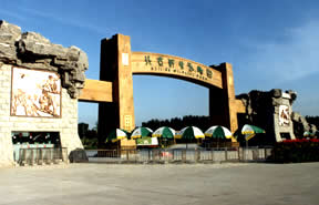 北京大兴野生动物园天气